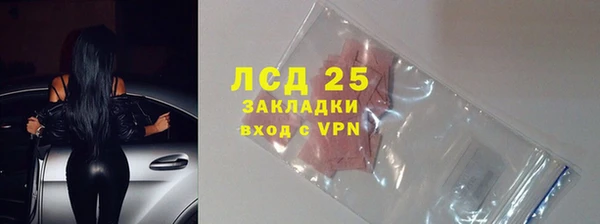 сатива Алзамай