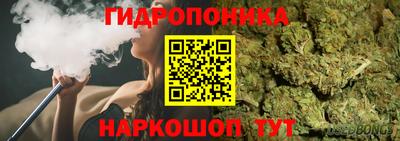 spice Гусев