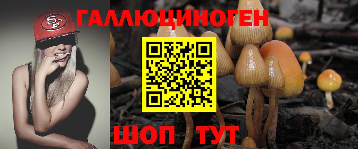 Галлюциногенные грибы Magic Shrooms  Вход с VPN  магазин  наркотиков  Учалы  Галлюциногенные грибы GOLDEN TEACHER 